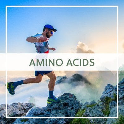 Protein & Amino Acids