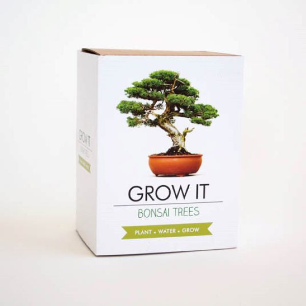 Gift Republic- Grow It; Bonsai Trees